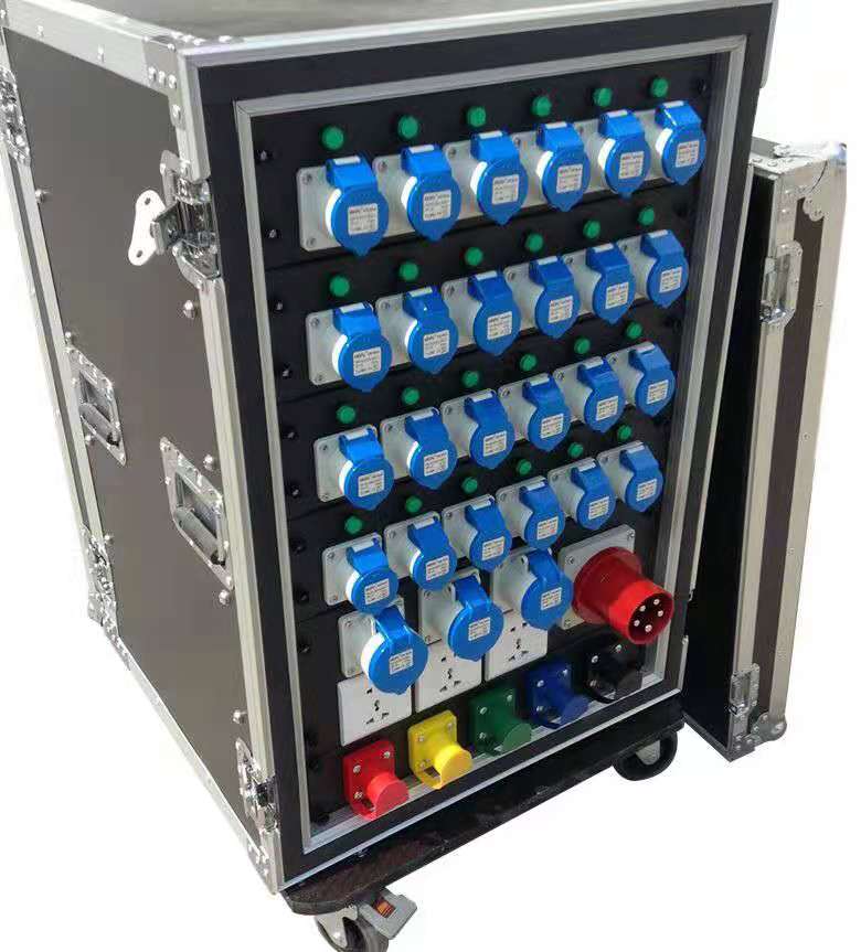 Flight Case for 12 Channel Power Case